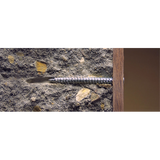 Rahmenschrauben ohne Stopfen 7,5 x 72 Torx 30 Zylinderkopf